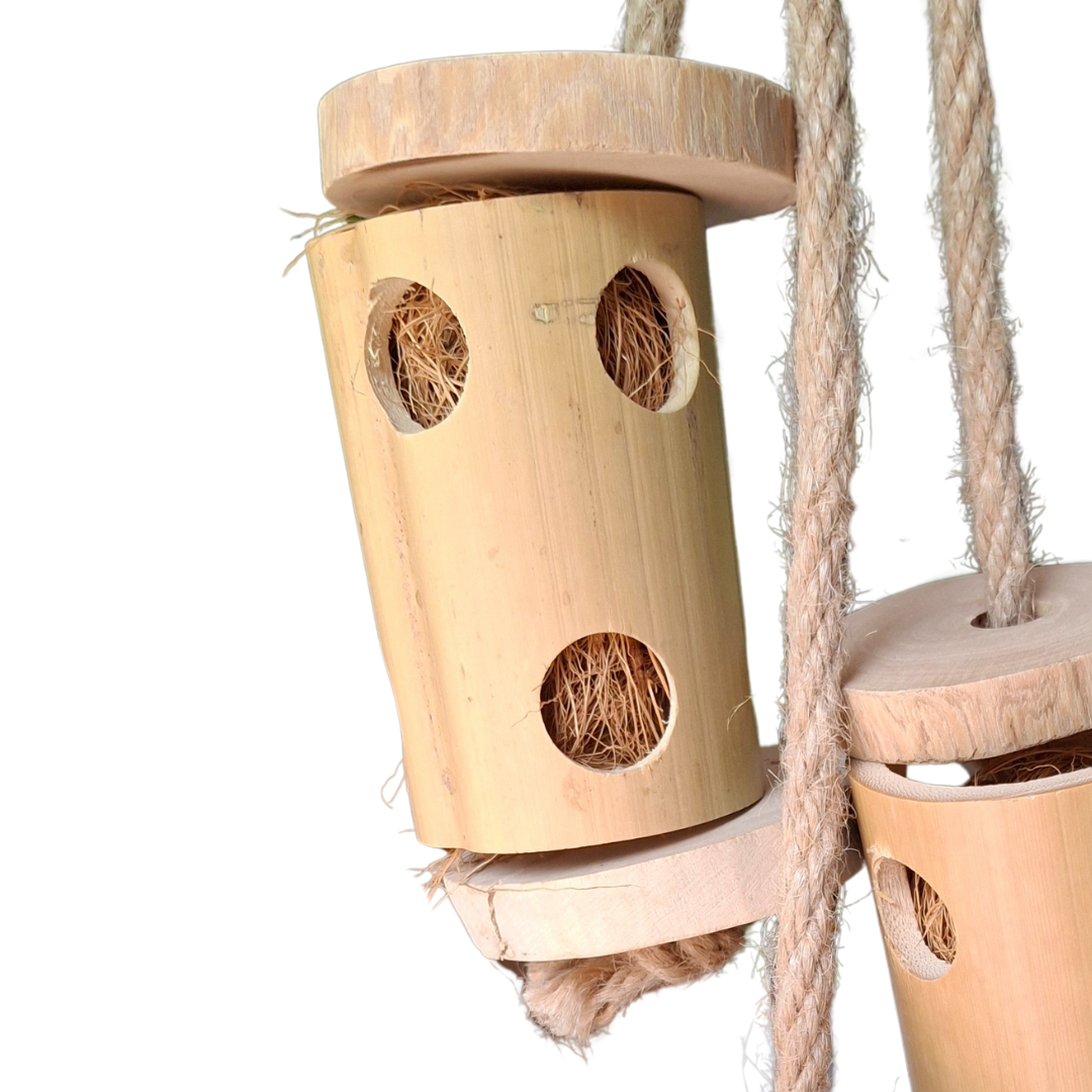 Beak Joy Bamboo Climber