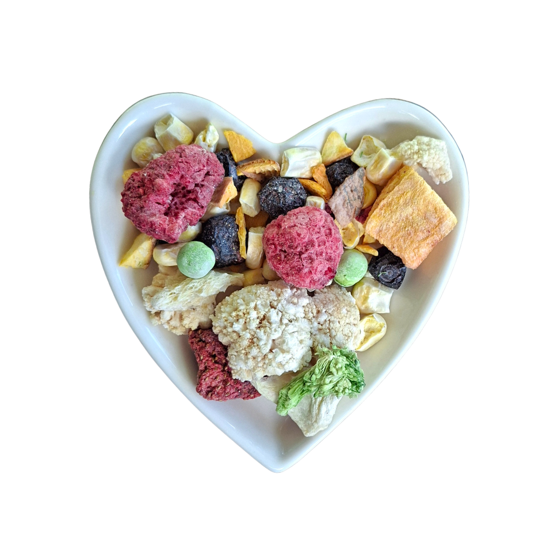 Beak Joy Freeze Dried Seasonal Vegetables and Fruits 30g