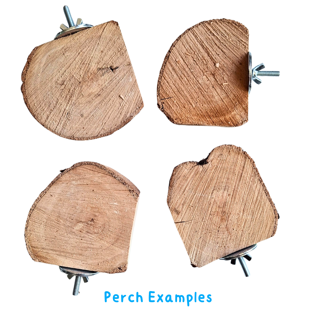 Birdnerd Aussie Gum Platform Corner Perch