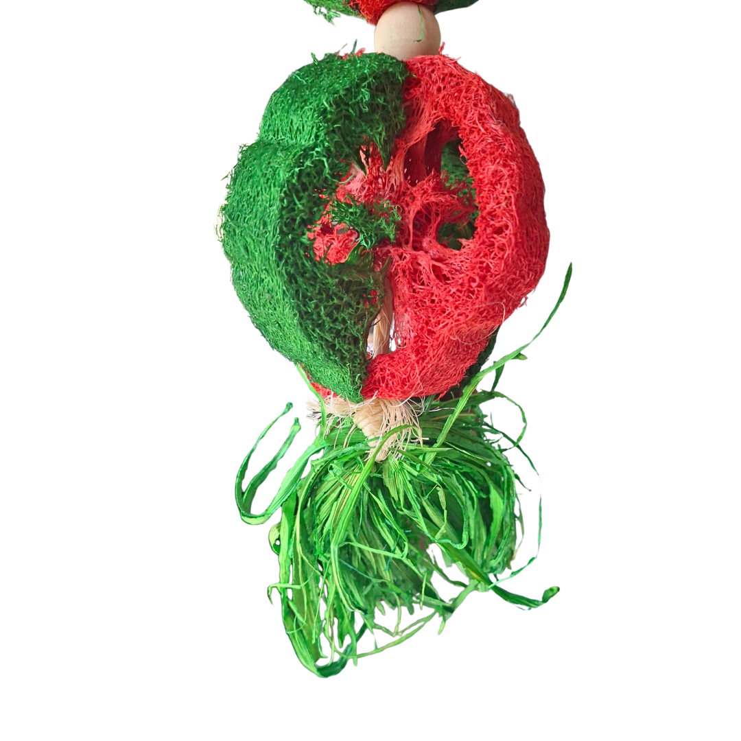 Christmas Loofa Chew