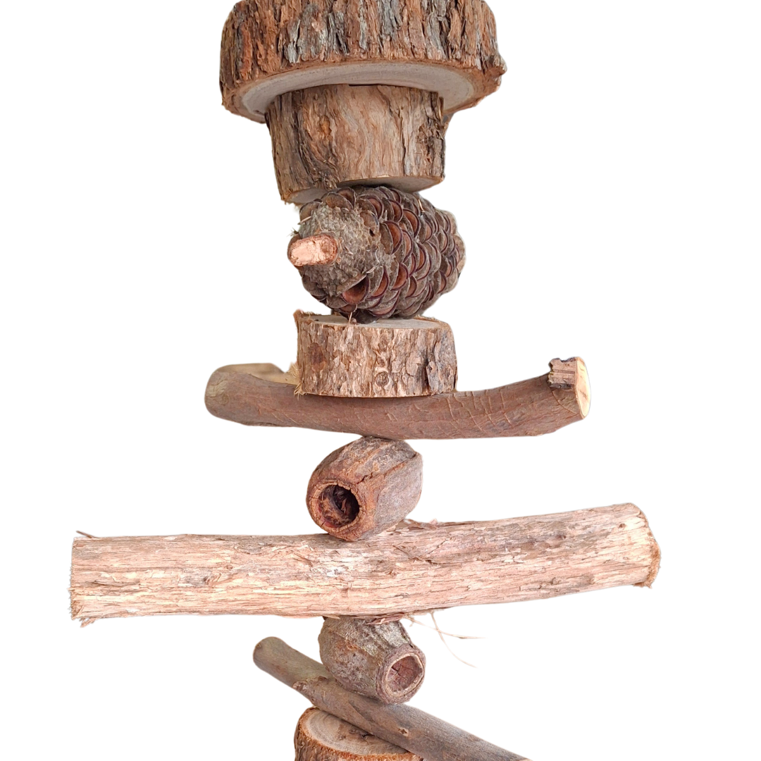 Close up of Natural Australia materials including chunky wood slices, gumnuts and banksia pods stacked on a skewer on a white background