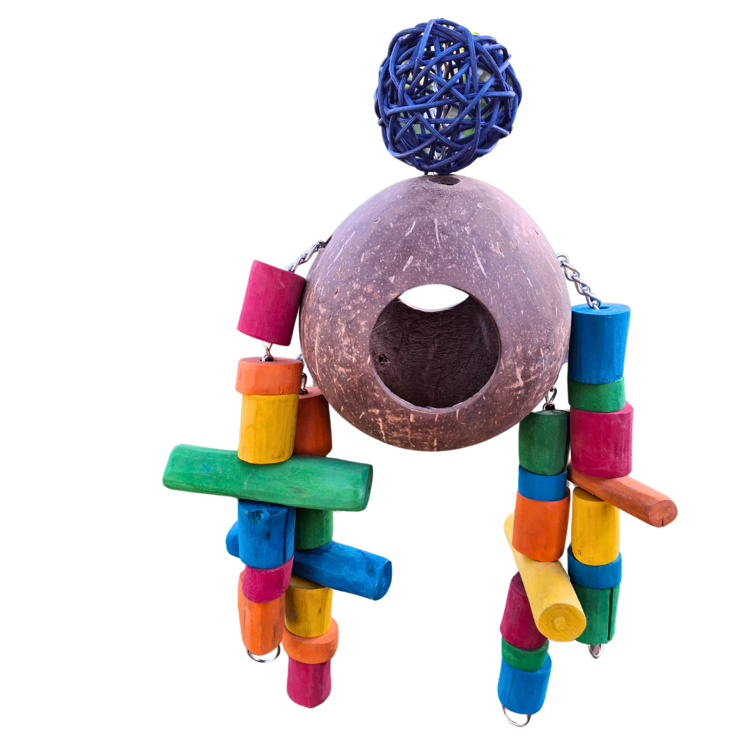 Coco Robot Forager