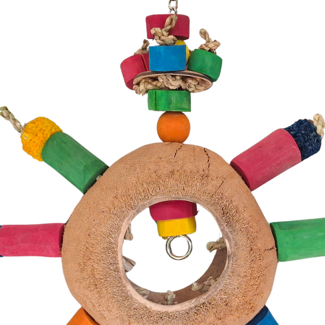 Coco Java Wheel