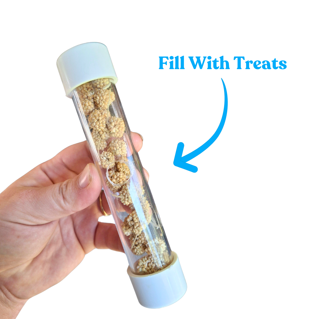 Forage Tube Foot Toy