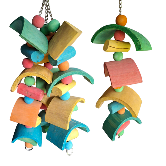 Java Halfmoon Glider