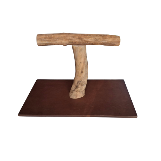 Java & Liana Parrot T Stand - 115