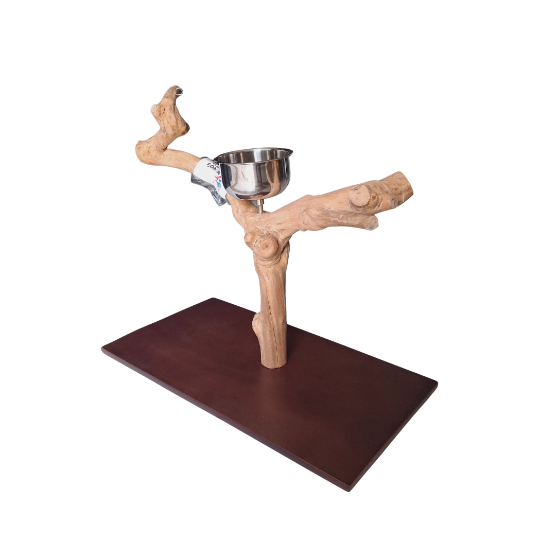 Java Tabletop Parrot Play Gym - 784