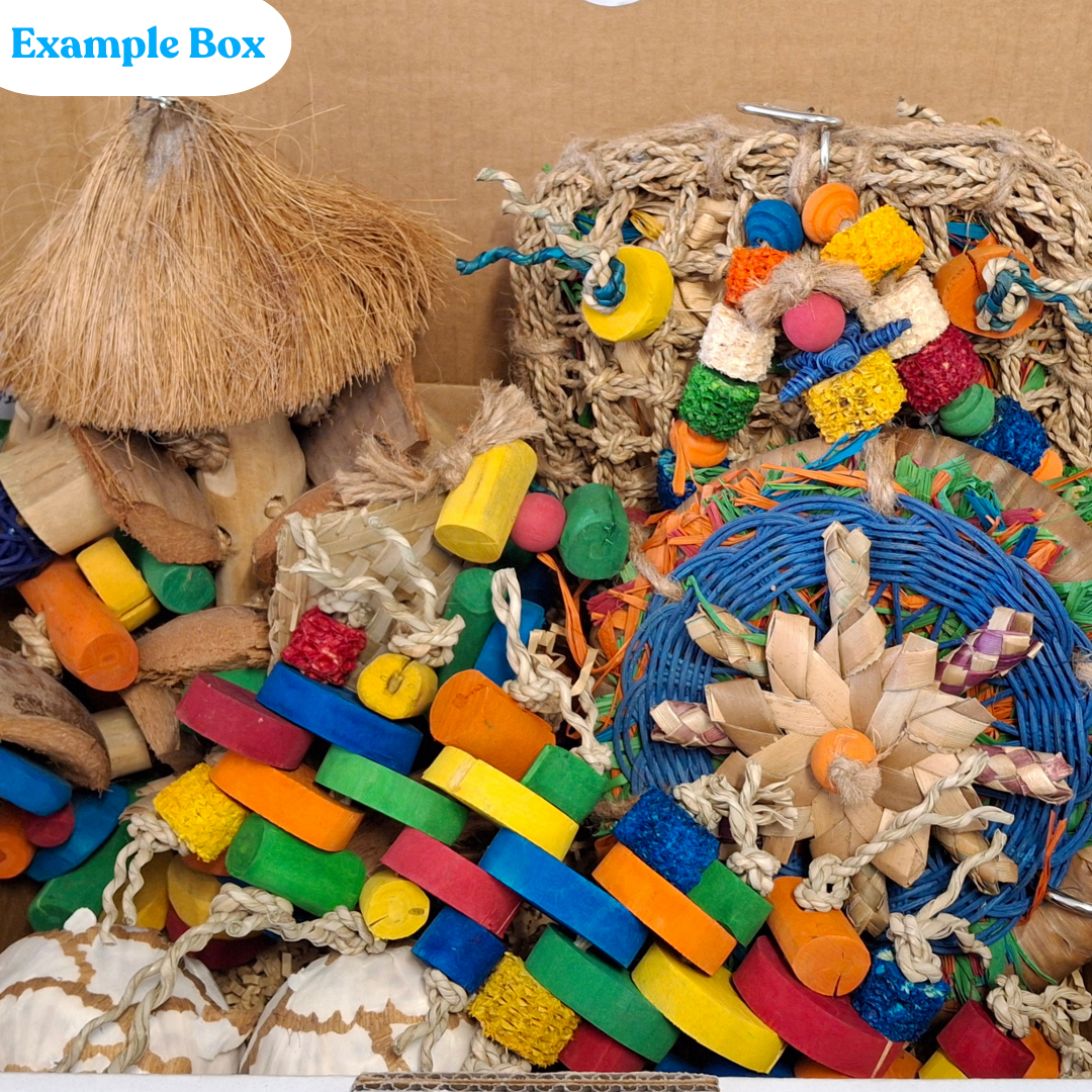 Large Parrot Ripper Subscription Box