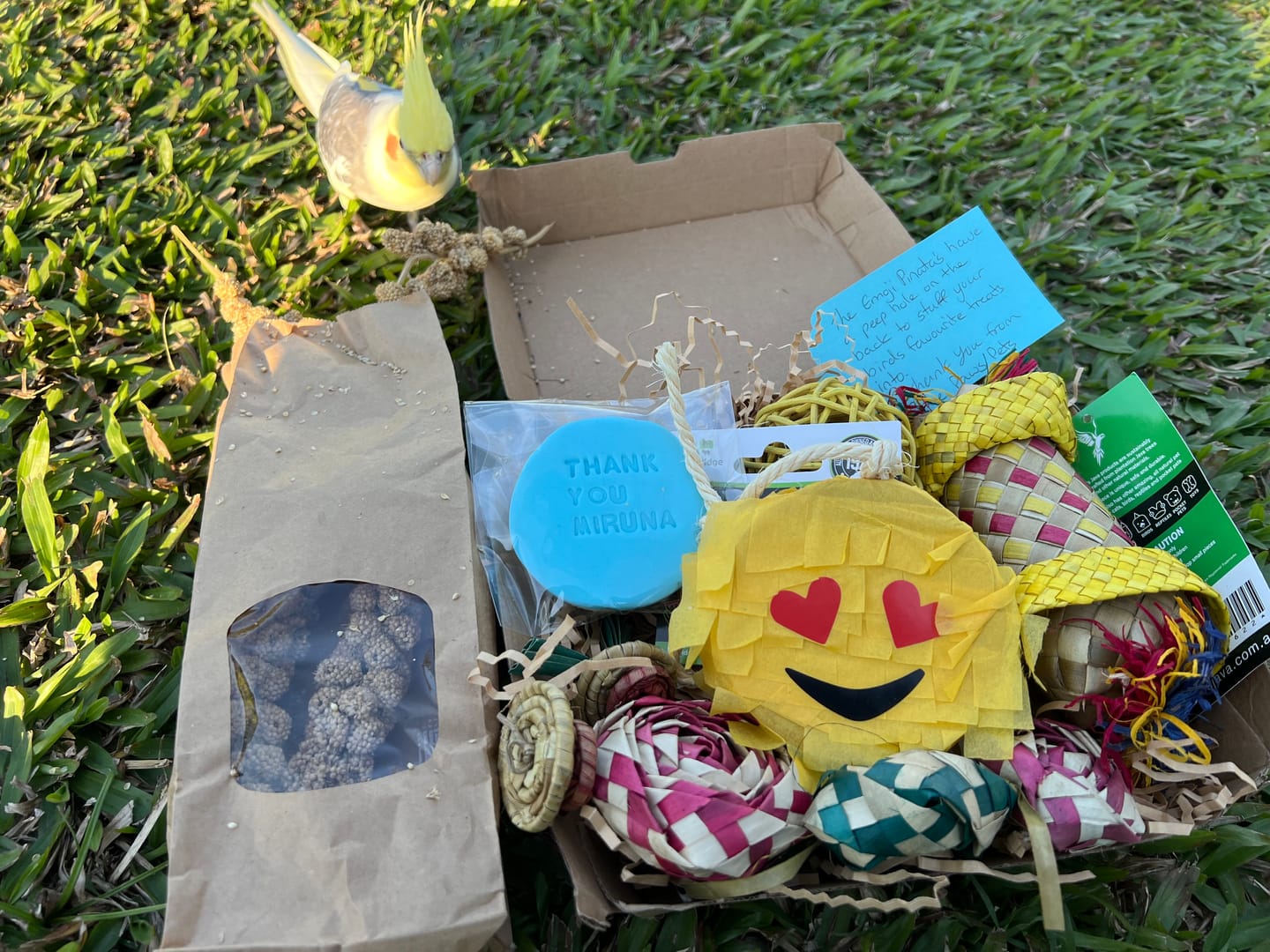 Small Parrot Ripper Subscription Box