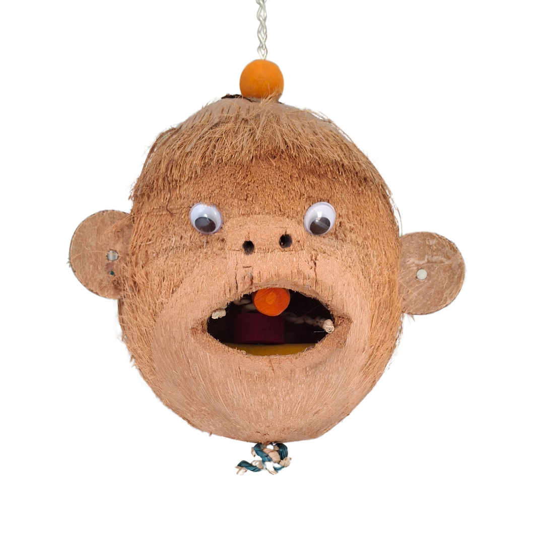 Mr Monkey