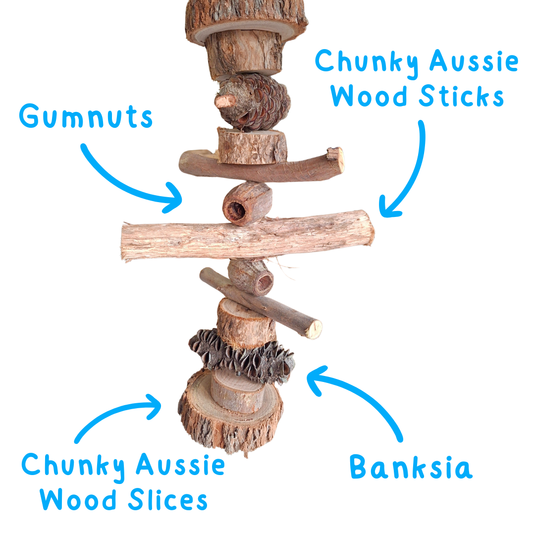 Natural Australia materials including chunky wood slices, gumnuts and banksia pods stacked on a skewer on a white background with labels "gumnuts" "Chunky Aussie Wood Sticks" "Chunky Aussie Wood Slices" Banksia"