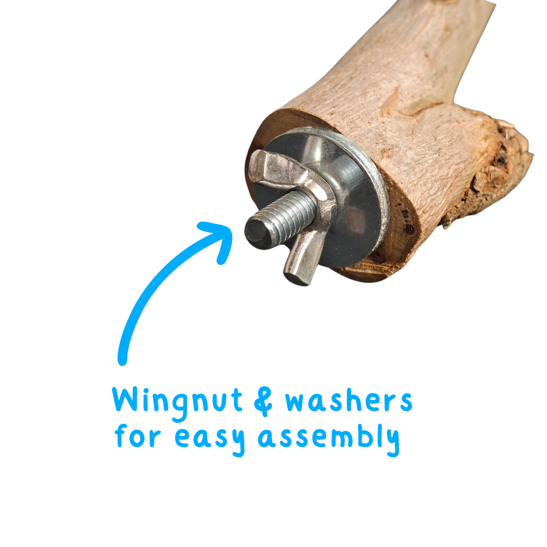 Natural Perch with metal wingnut and washers on a white background