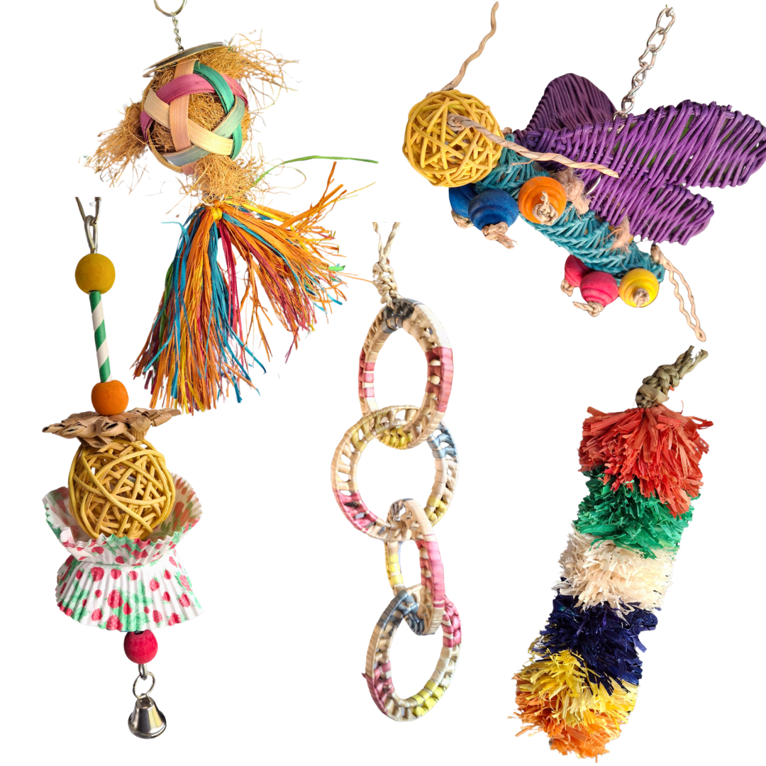Nino’s Java Small Bird Enrichment Pack