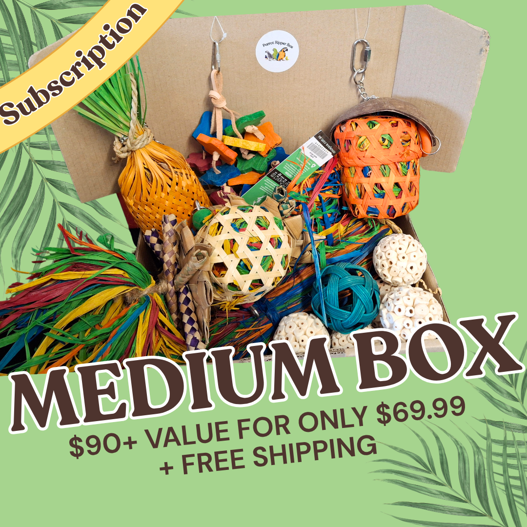 Medium Parrot Ripper Subscription Box – Pixie Paws Pets