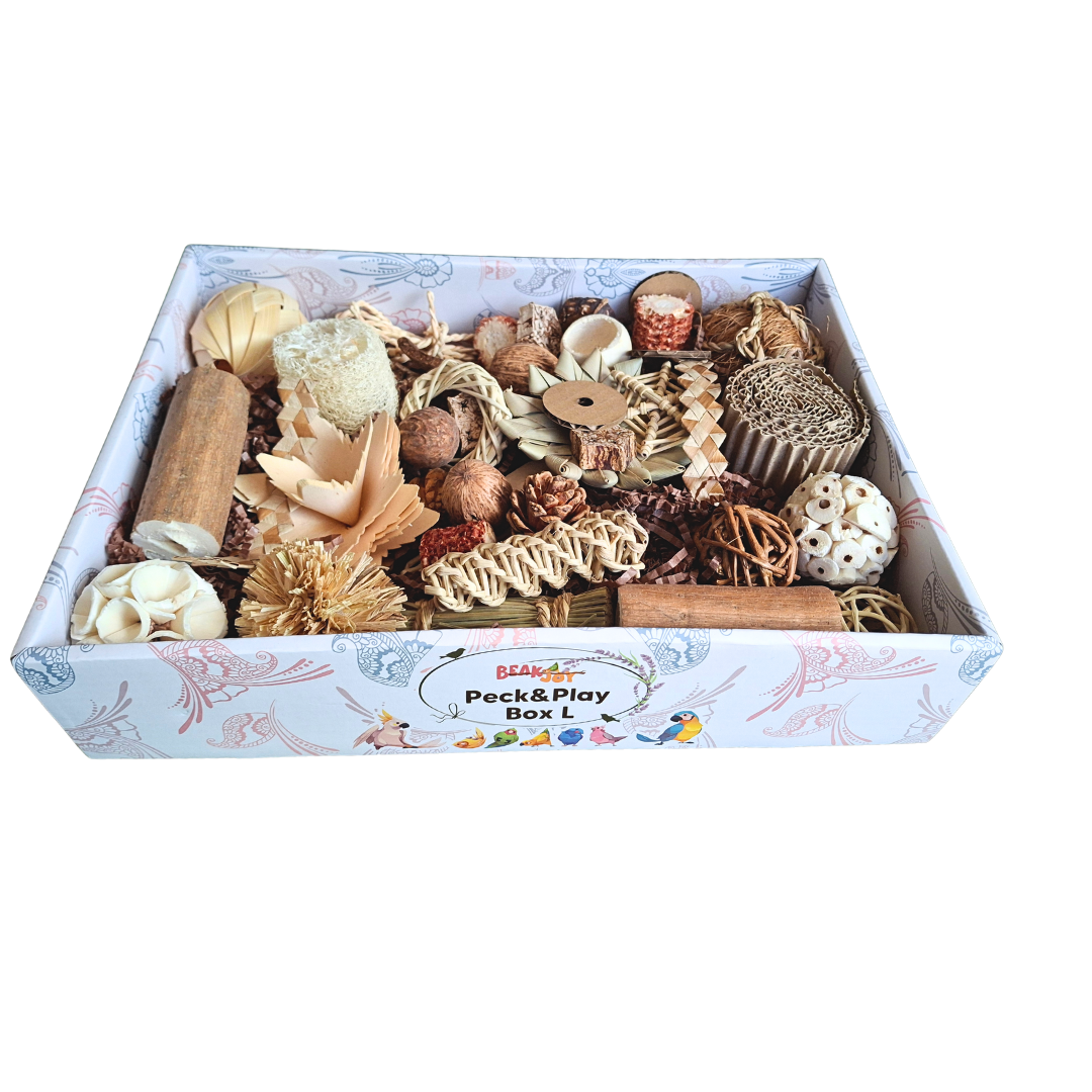 Beak Joy Peck n Play Forage Box