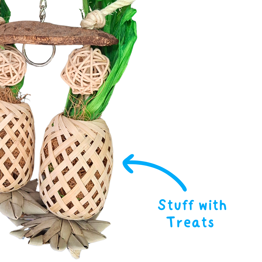 Pineapple Paradise Forager