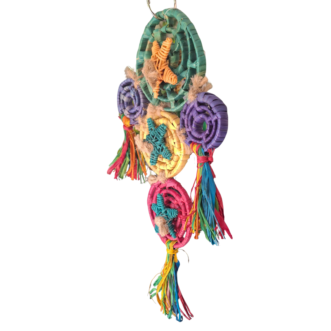 Playful Kindred Spirit Nibbler