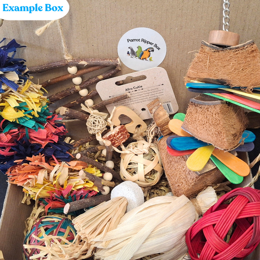 Small Parrot Ripper Subscription Box