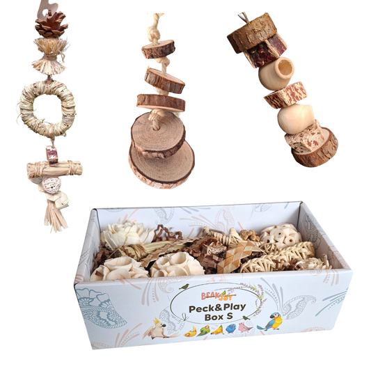The Small Birds Forage & Play Pack