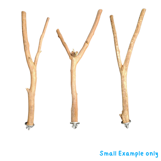 Three Small example bird perches with natural textures on a white background