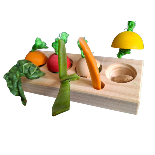 Veggie Patch Puzzle Play