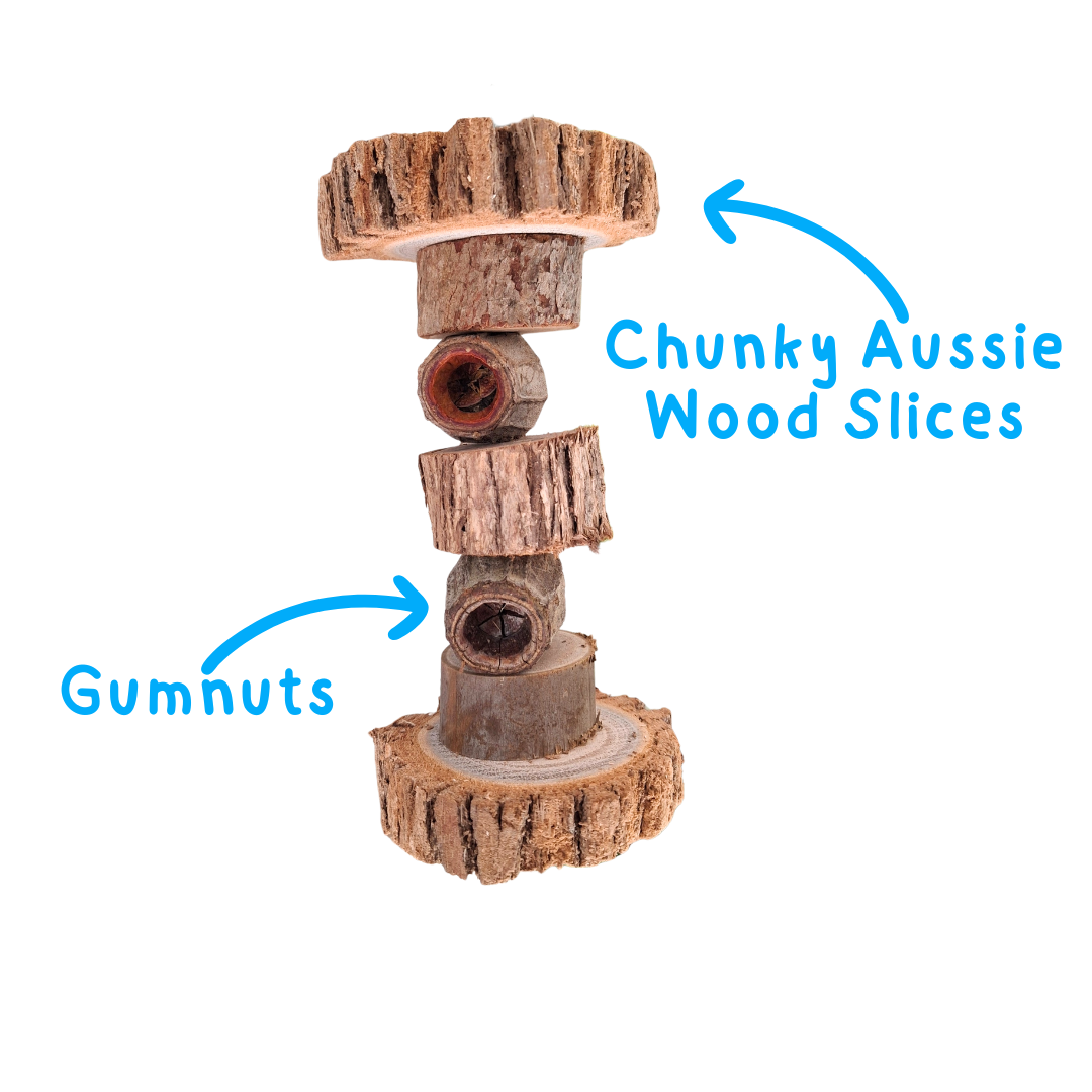 Wooden bird toy with chunks of wood and gumnuts on a white background