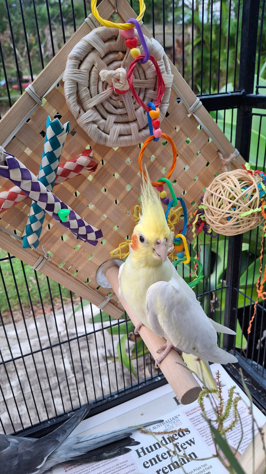 Fiesta Play Wall with Perch