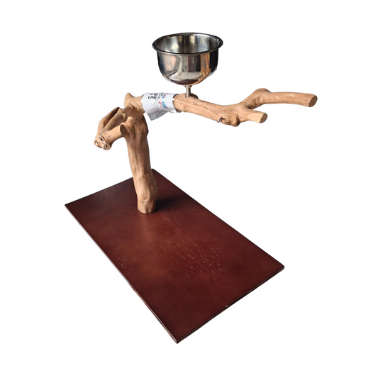 Java Tabletop Parrot Play Gym - 745