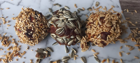 Date Seed Balls