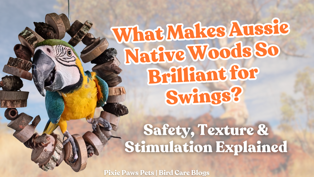 Why Australian Native Woods Make Such Great Swings for Pet Birds: Safety, Texture & Stimulation Explained