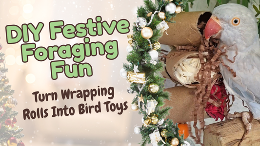 🎄Festive Foraging Fun: Turn Wrapping Rolls Into Bird Toys