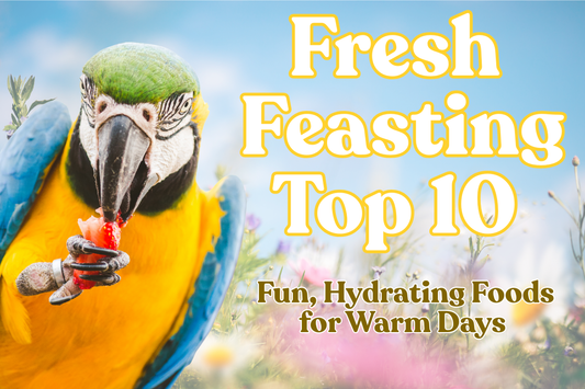 Fresh Feasting – Top 10 Hydrating Fruits & Veggies for Your Bird
