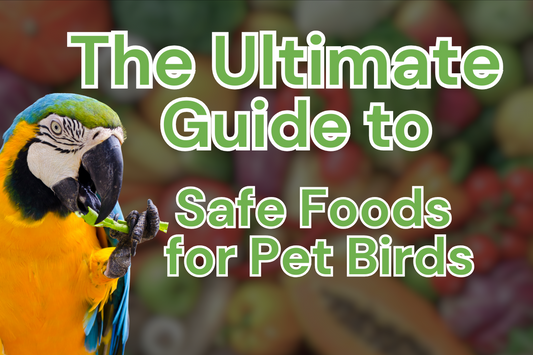 149 Safe Foods for Pet Birds: The Ultimate 2025 Guide
