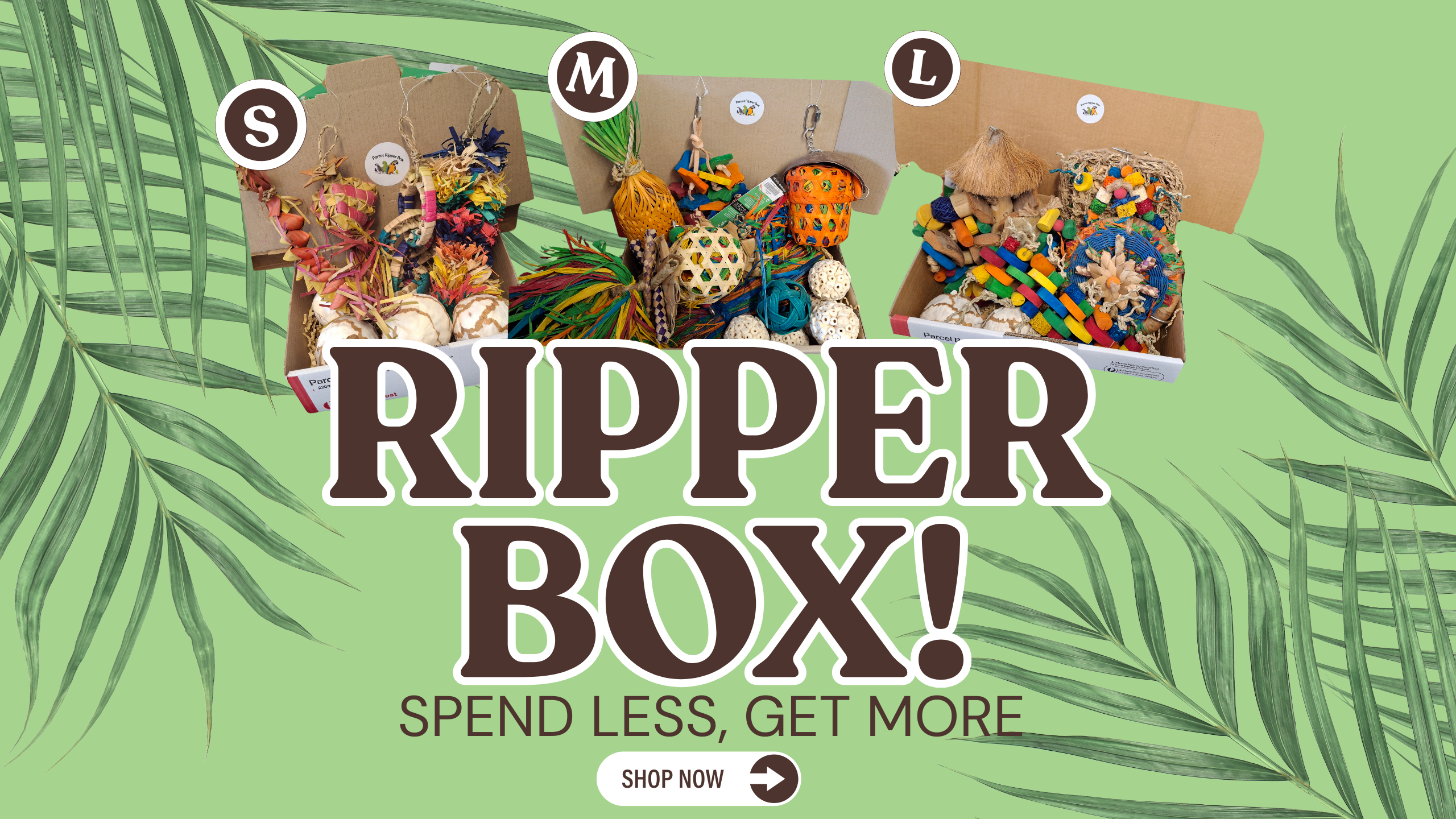 Main Ripper Box Parrot Ripper Boxes – Pixie Paws Pets