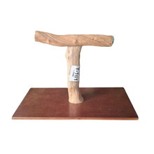 Java & Liana Parrot T Stand - 161