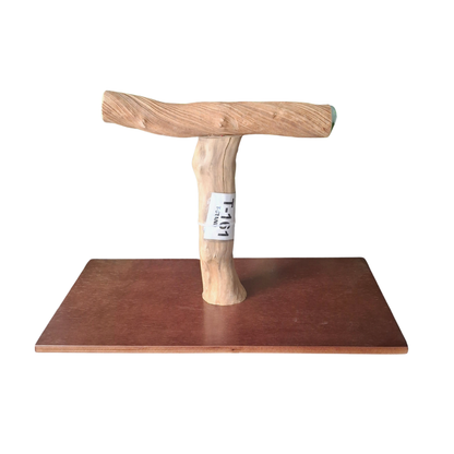 Java & Liana Parrot T Stand - 161