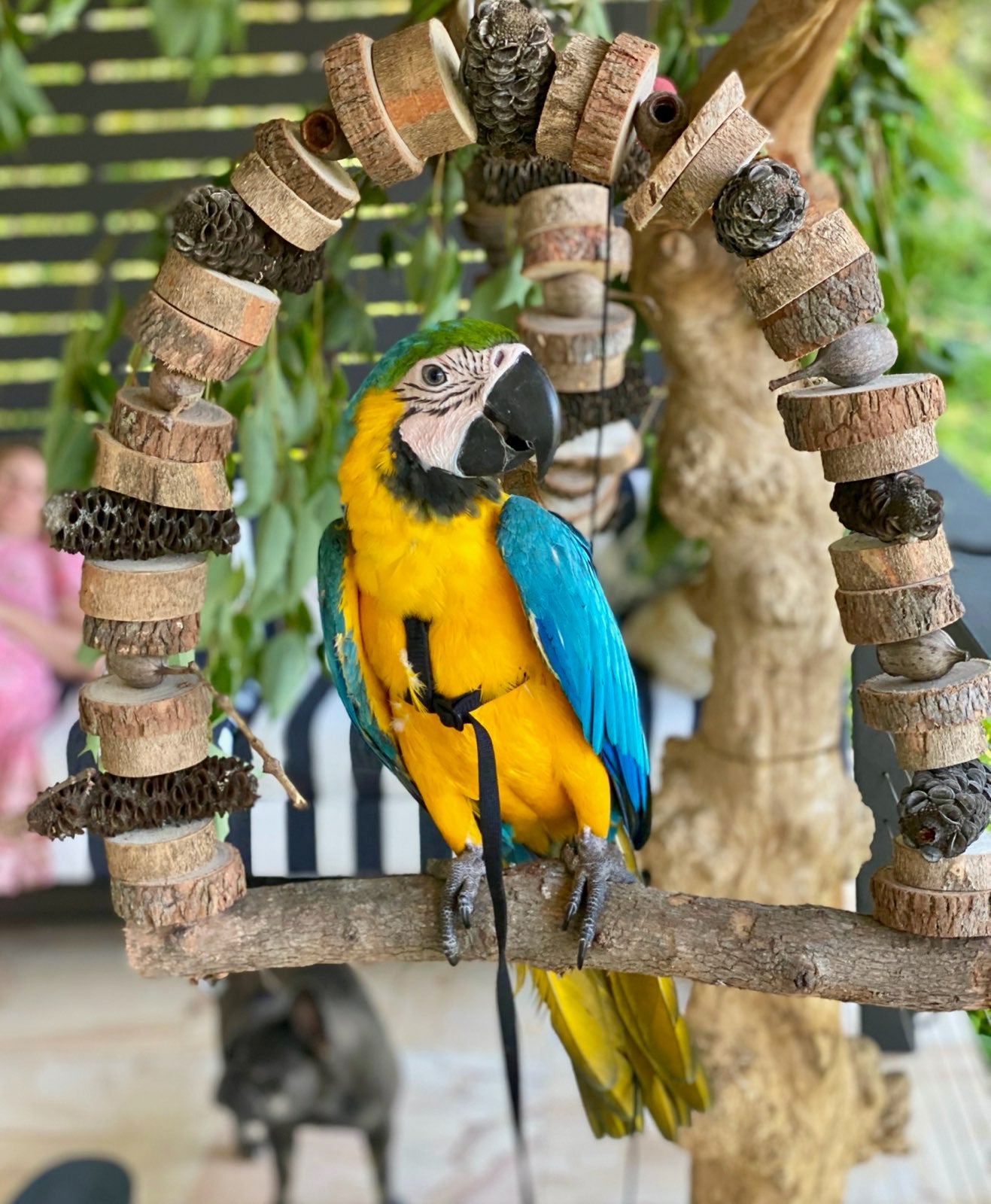 Birdnerd Aussie Natural Macaw Swing