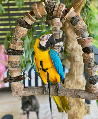 Birdnerd Aussie Natural Macaw Swing