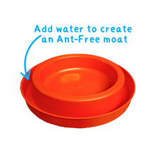 Ant Guard Feeding Bowl