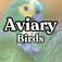 Aviary Birds