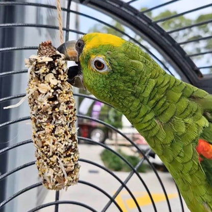 Banksia Nibbles 2pk