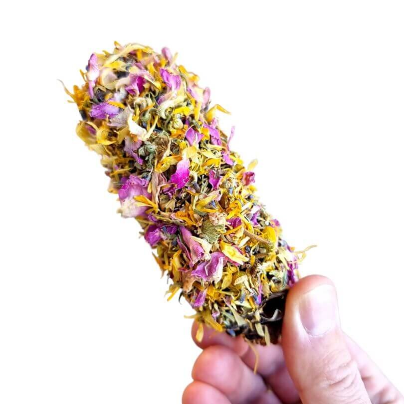 Floral Banksia 2 Pk