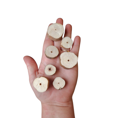 Barky Sola Slices