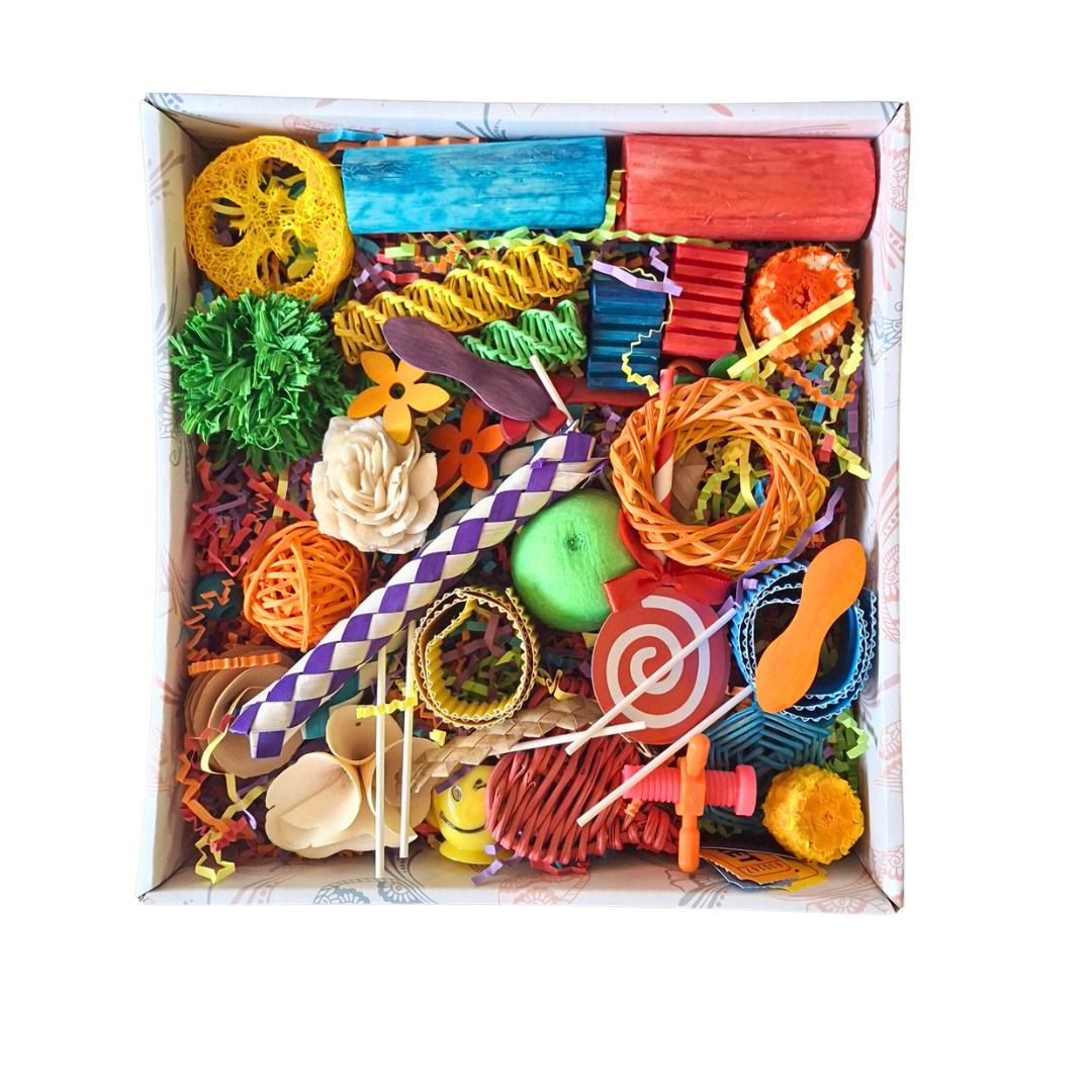 Beak Joy Happy Wings Forage Box