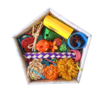 Beak Joy Happy Wings Forage Box
