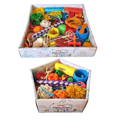 Beak Joy Happy Wings Forage Box