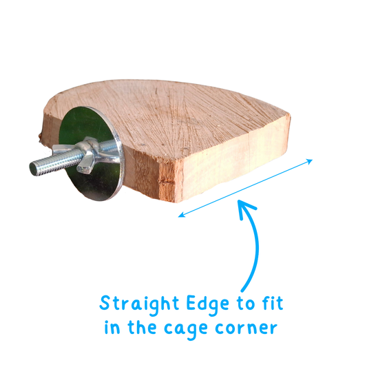 Birdnerd Aussie Gum Platform Corner Perch