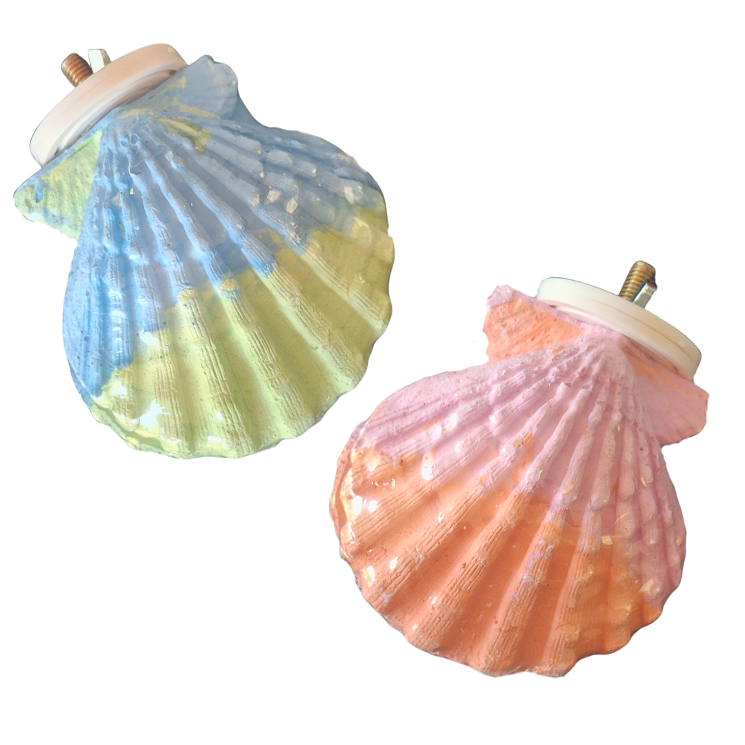 Calcium Clam Perch