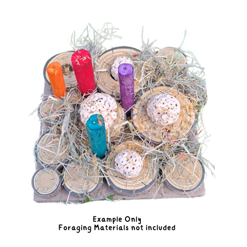Cardboard Forage Log Maze