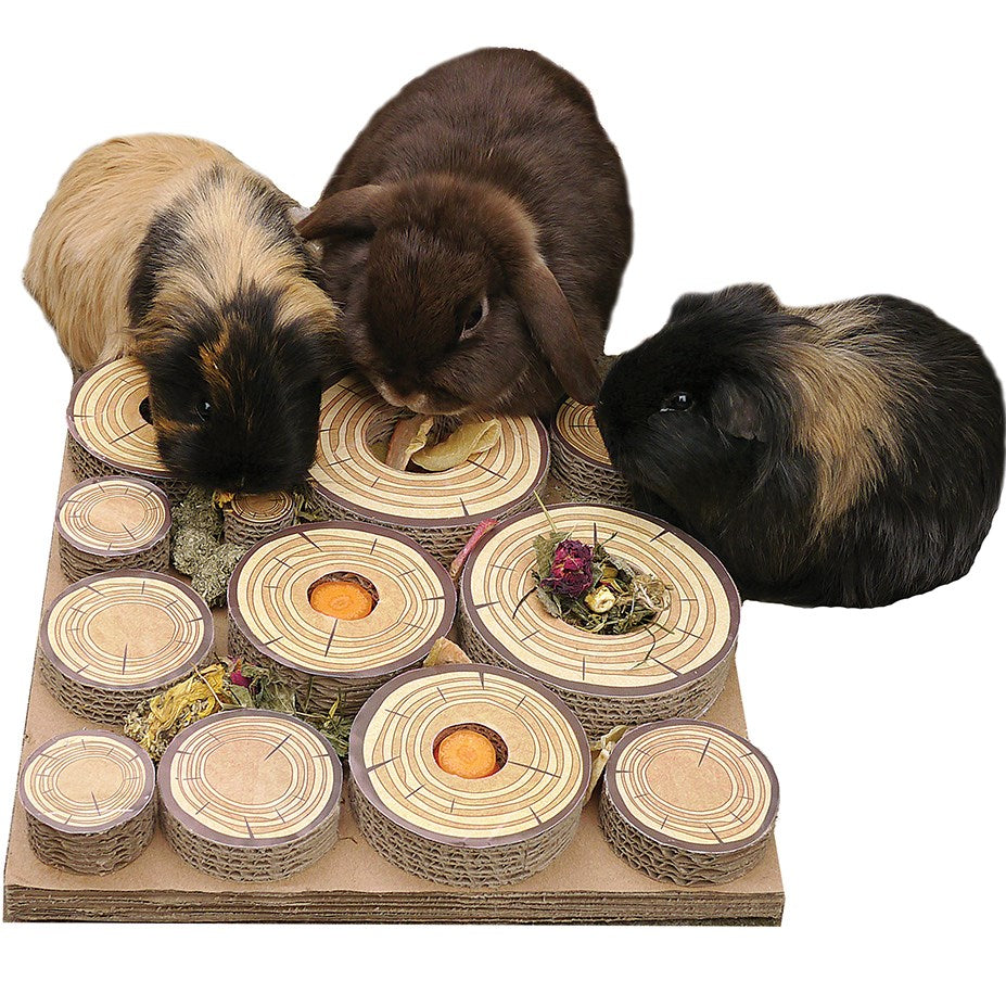 Cardboard Forage Log Maze